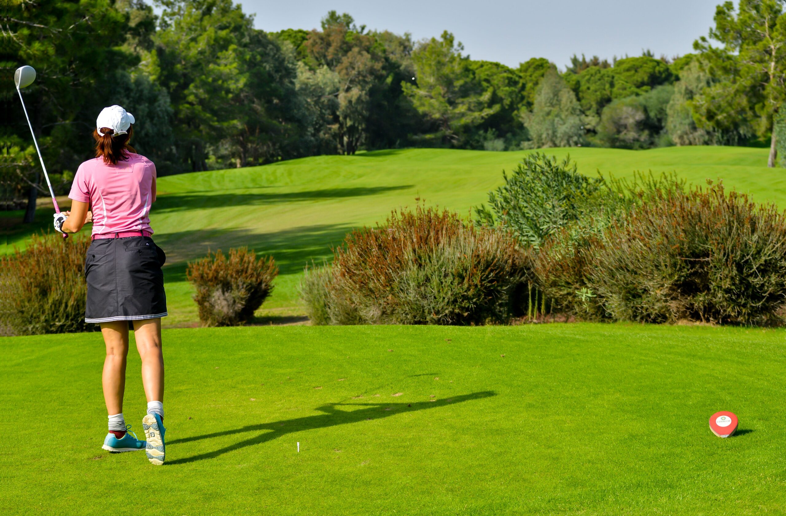 lpga tour leaderboard