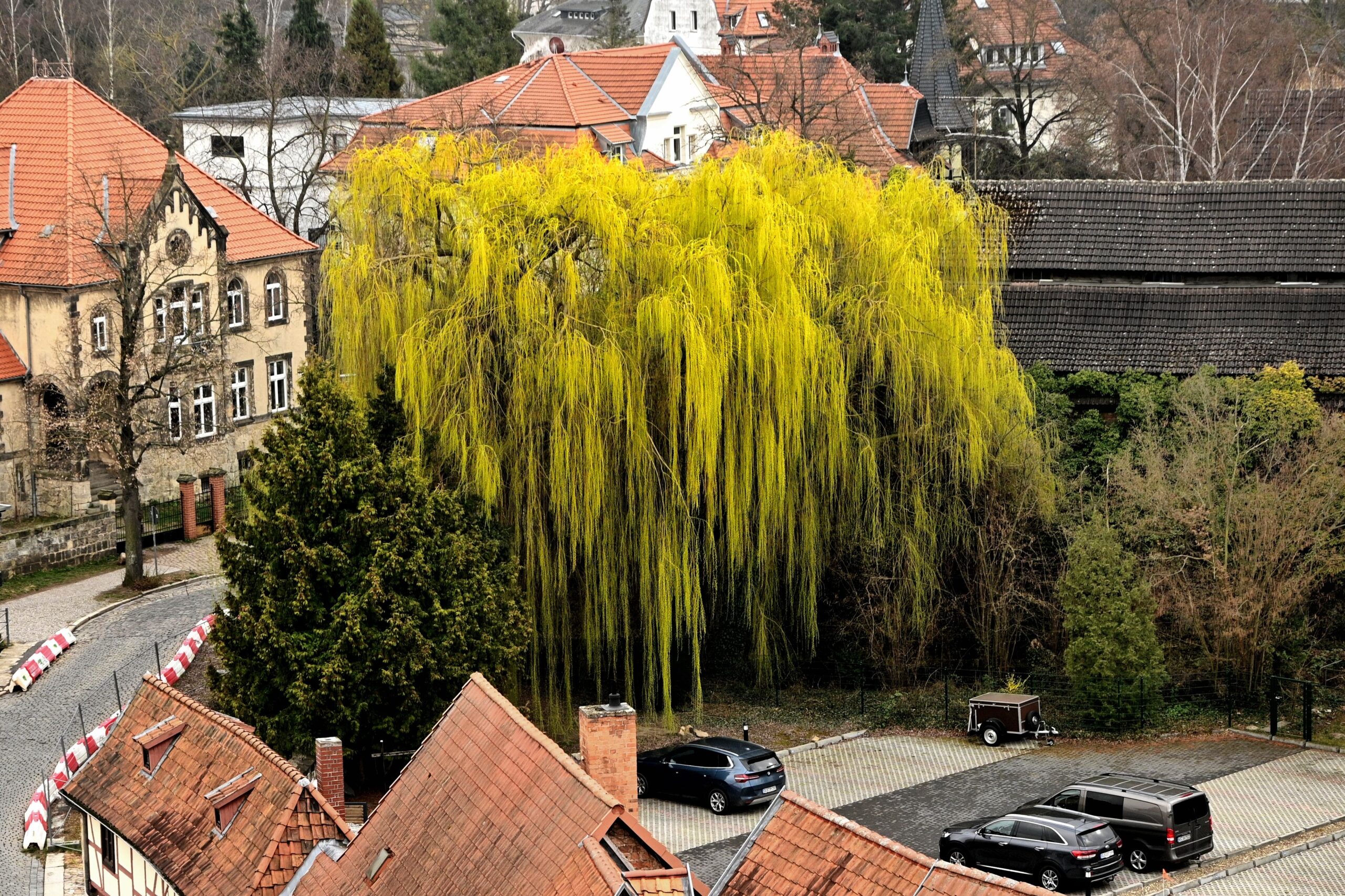 weilch